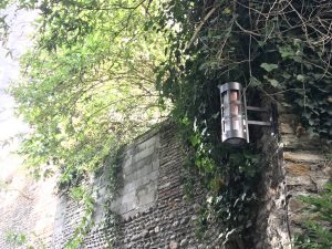 pau hedas projection de lumière type gobos au sol