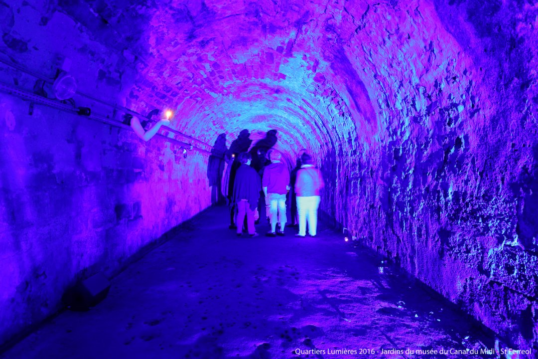 La promenade nocturne a donné aux visiteurs la posibilité de redécouvrir le parc immergé dans une ambiance poétique et aquatique.