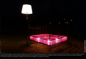 ls s’arrêtent alors devant des scénographies « fixes » déclinant arts plastiques, lumières, vidéos et sons.