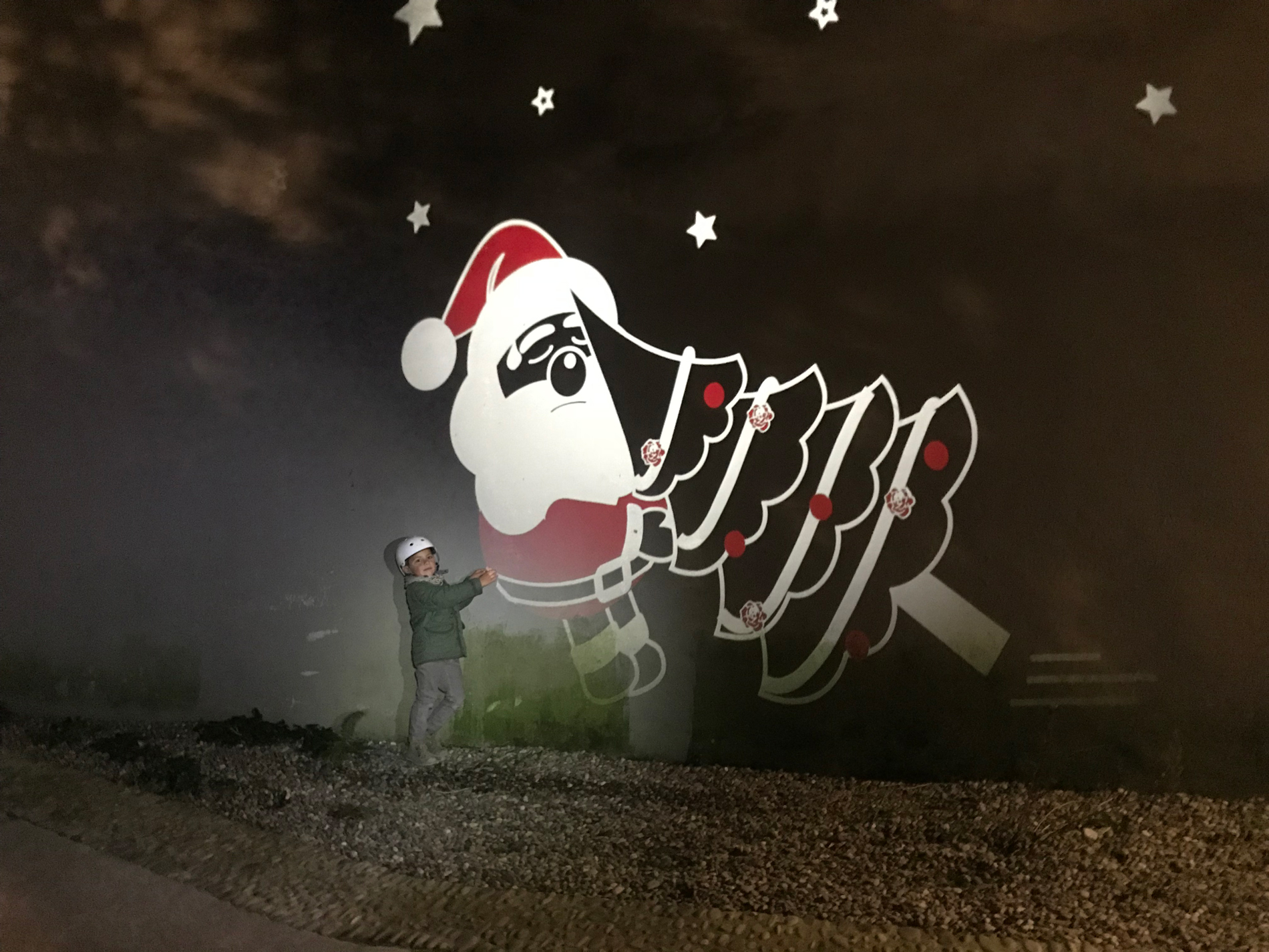 Le Père Noël n’a pas de pot à Pau!