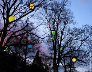 Arbres et Lumières « Splitch Splatch » - La bataille de peinture