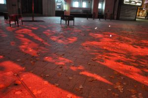 ombres d'arbres éclairés en rouge