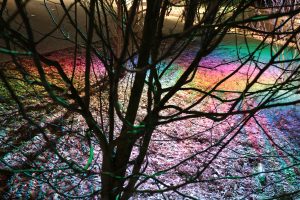 couleurs irisées lumière sous un arbre