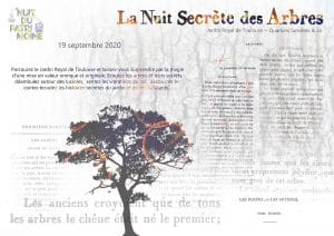 flyer de la nuit secrete des arbres a toulouse pour la nuit du patrimoine 2020
