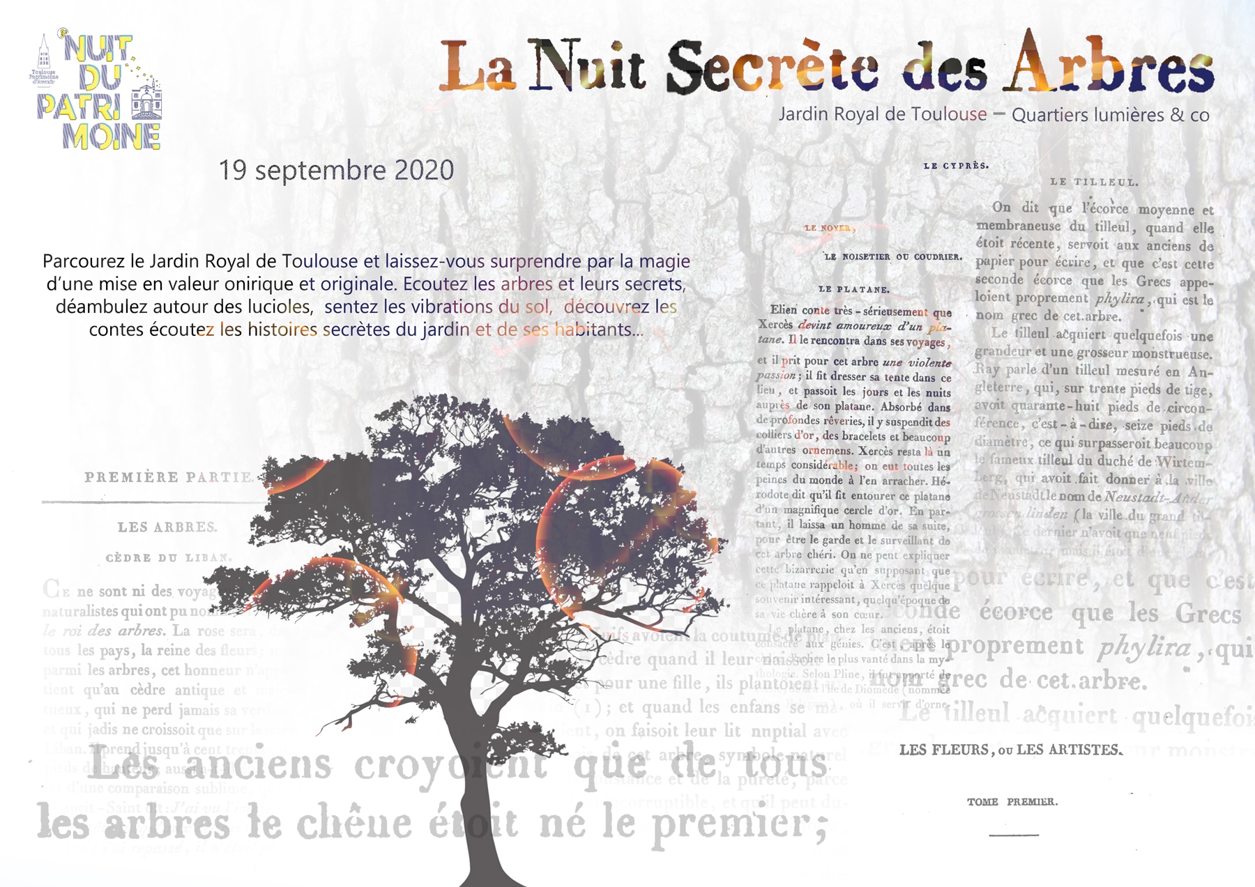 Nuit-secrete-des-arbres-72dpi.jpg