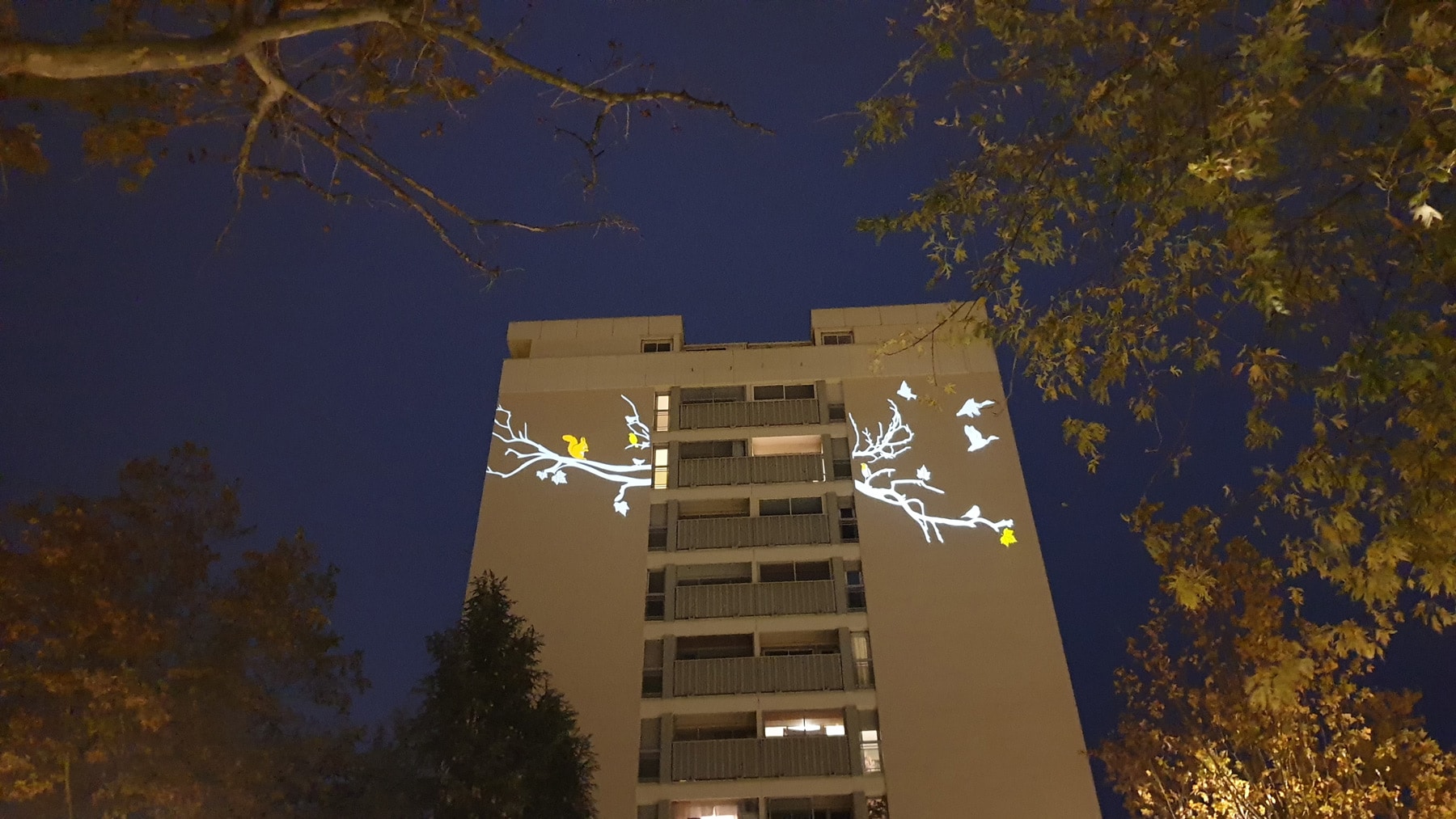 projection lumière d'images branches et nature sur une façade aveugle d'immeuble