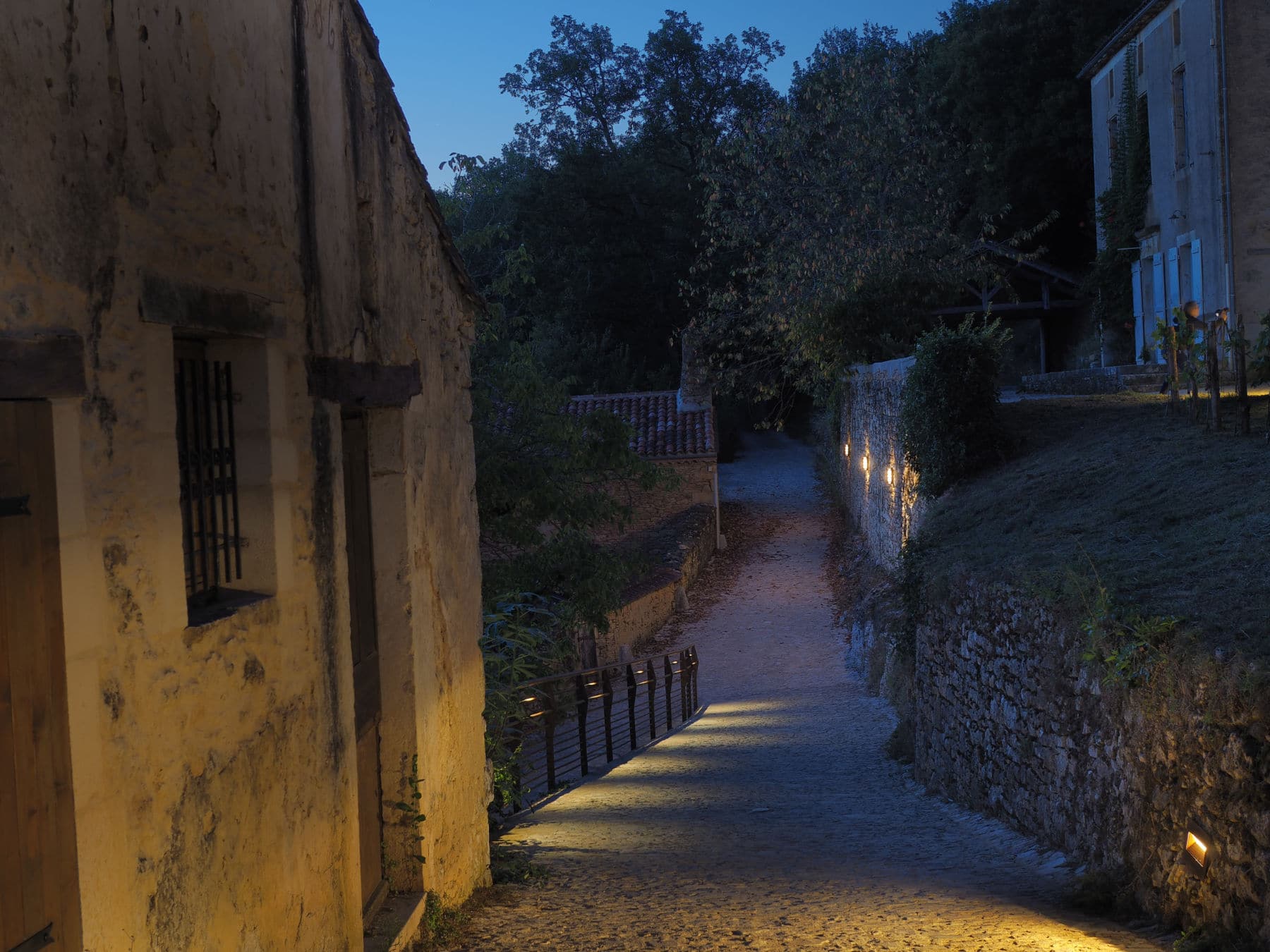vue de nuit d'un sentier