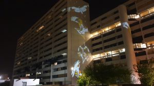 projection gobos lumière reynerie biodiversité