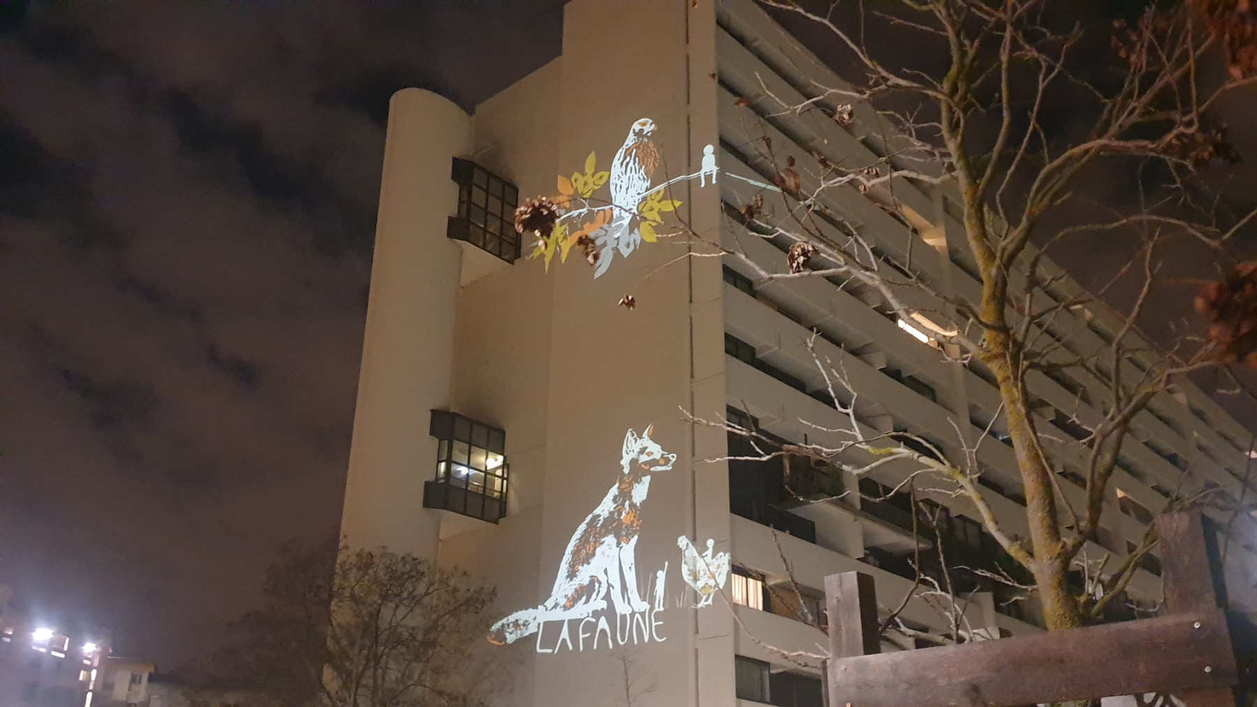 projection gobos image lumière