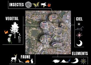 biodiversité parcours lumière reynerie bilan