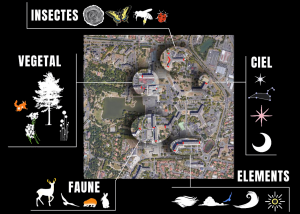 biodiversité parcours lumière reynerie