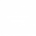 logo de papillon de nuit png