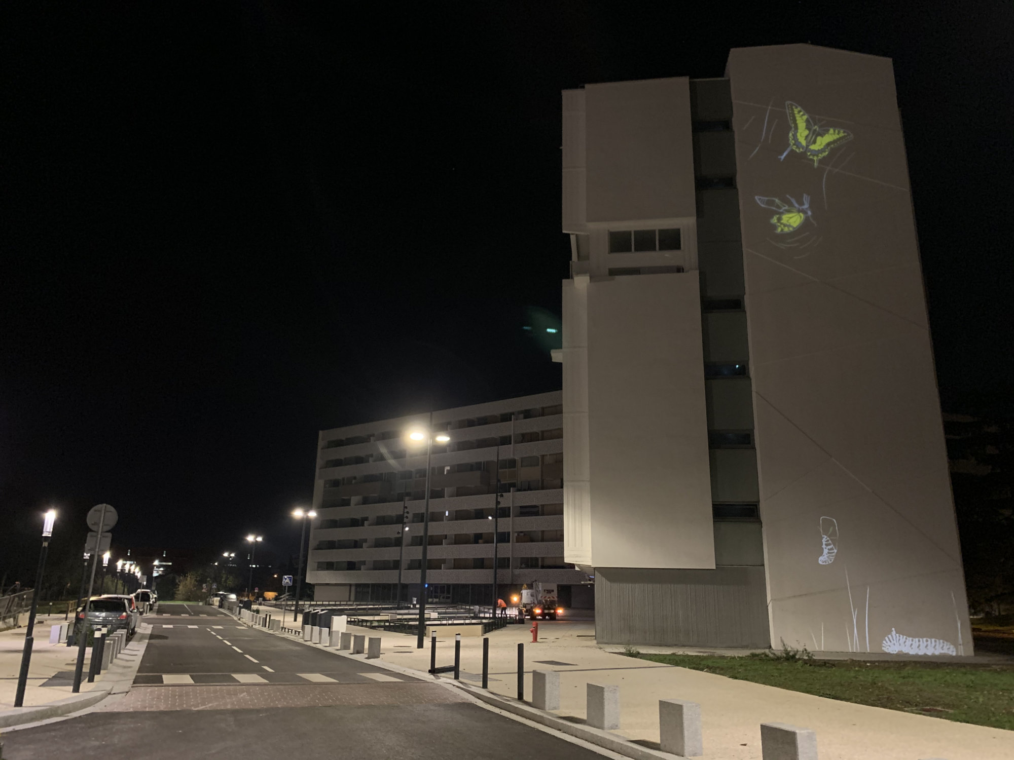 projection d'images de papillons sur façades aveugles d'immeubles