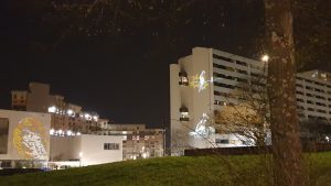 biodiversité parcours lumière reynerie