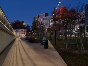 vue de nuit d'un parc avec guirlandes guinguette