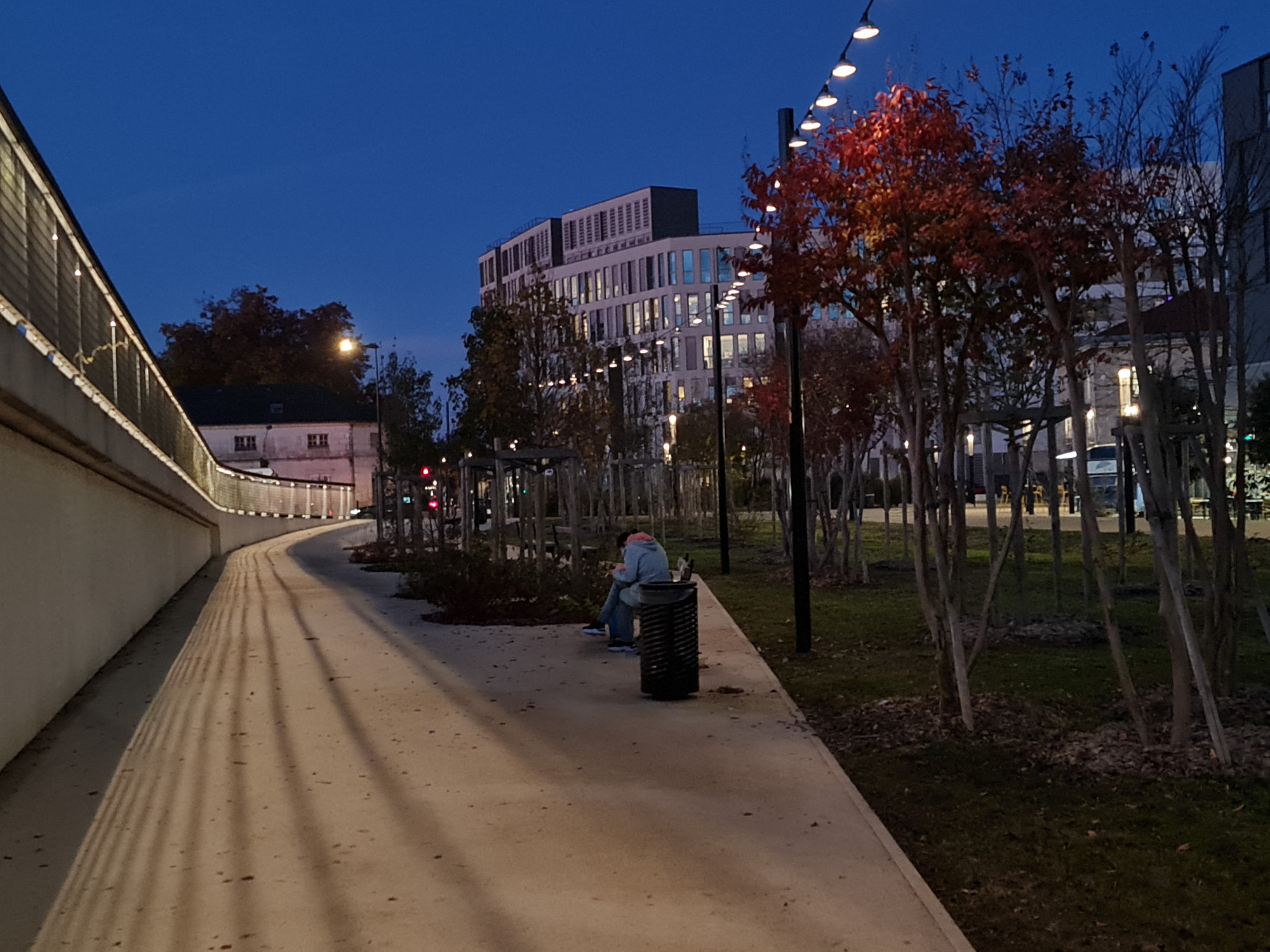 vue de nuit d'un parc avec guirlandes guinguette