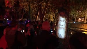 vidéoprojection d'arbre avec un visage qui parle sur un platane