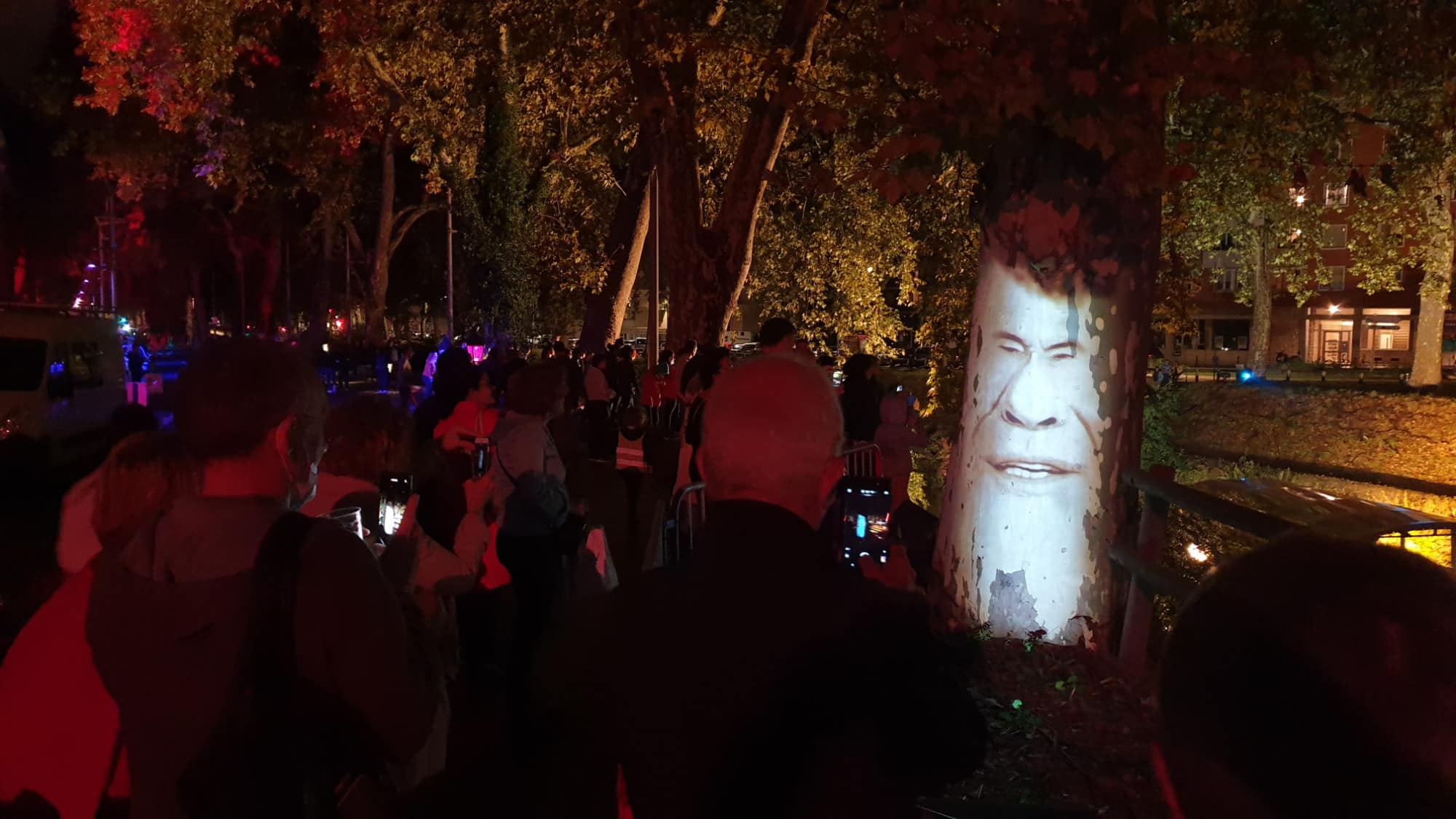 vidéoprojection d'arbre avec un visage qui parle sur un platane