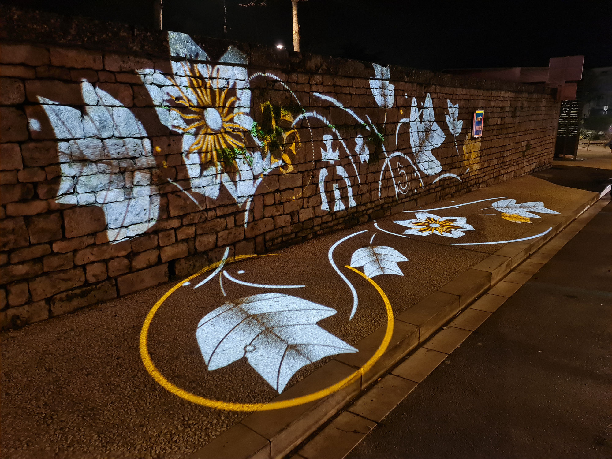 Projections sur un mur d'images fixes motif naturels