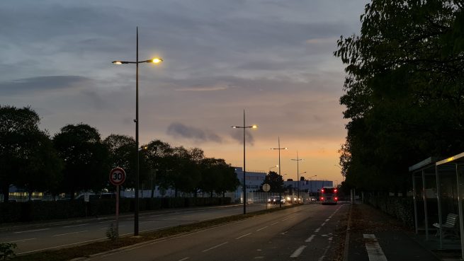 avenue avec mâts aiguille et lever de soleil