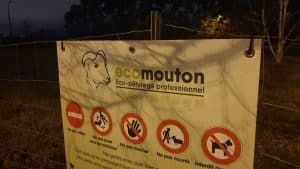panneau de sensibilisation écomouton de nuit