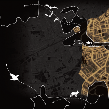 schéma de trame noire