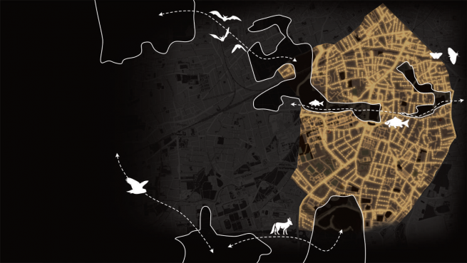 schéma de trame noire