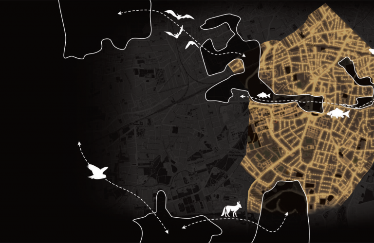 schéma de trame noire