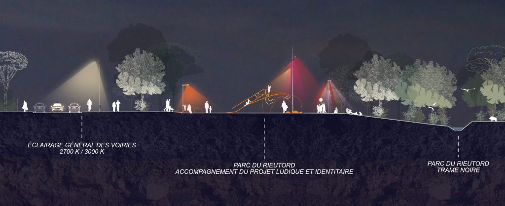 Coupe-mosson-nuit-éclairage coupe de typologie d'éclairage