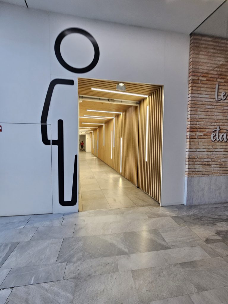 saint georges-centre commercial-toilettes intégration de barres led dans des tasseaux bois